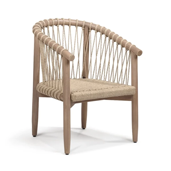 Teakwood Dining Chair - Sage - Image 4